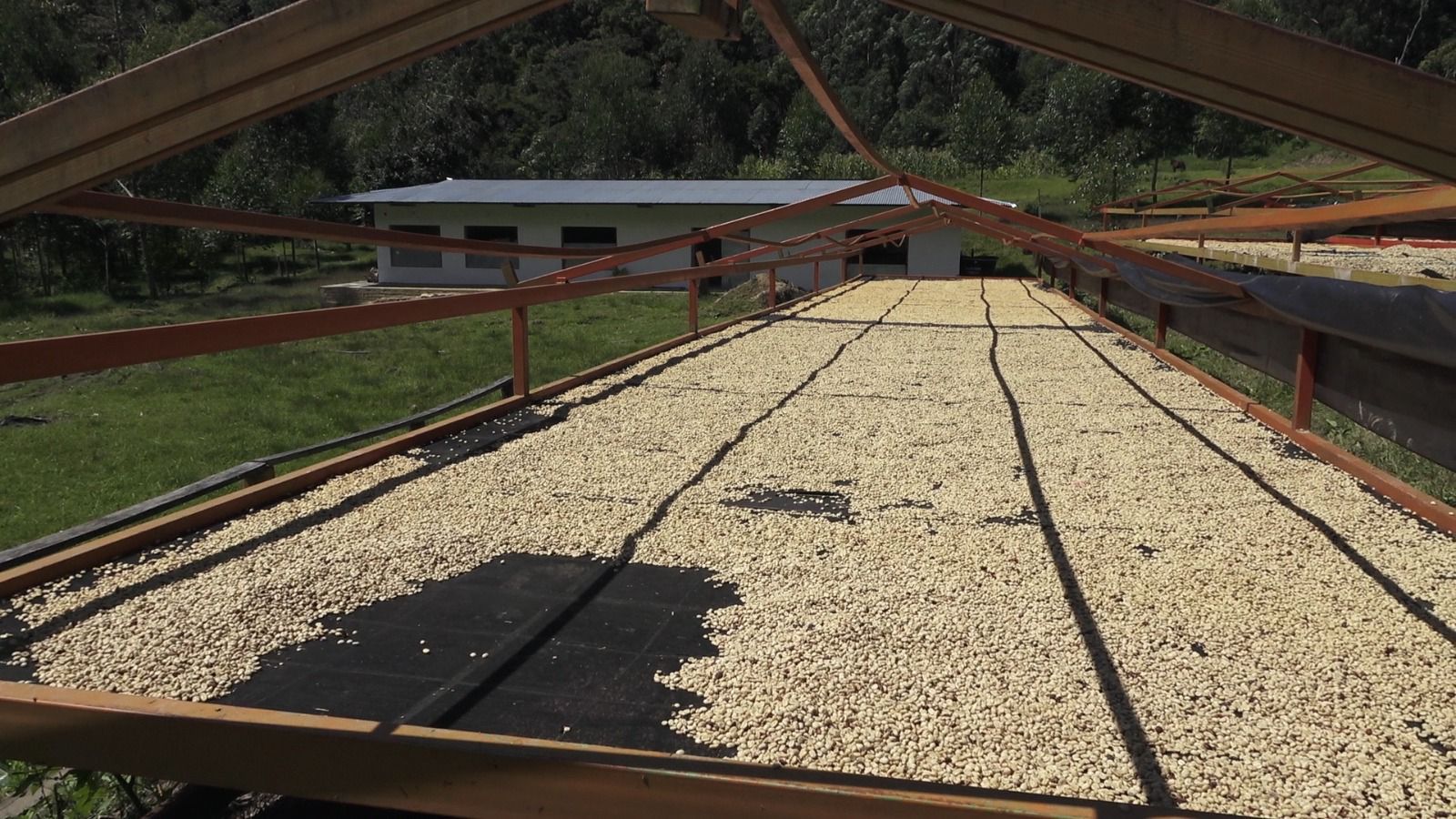 WhatsApp Image 2024-12-11 at 2.53.03 PM