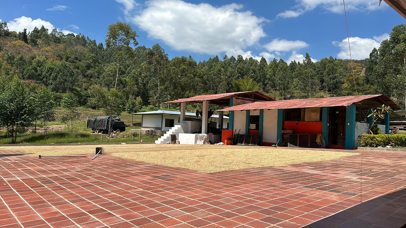 WhatsApp Image 2024-12-11 at 2.53.09 PM (3)